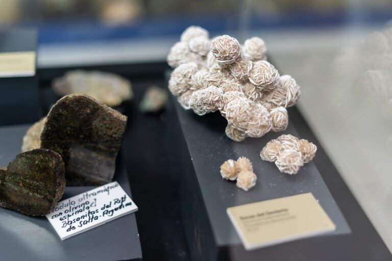 Museo Geología