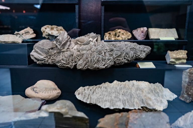 Museo Geología