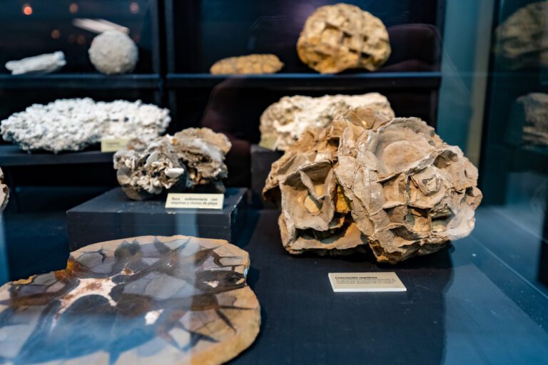 Museo Geología
