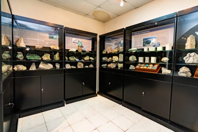 Museo Geología