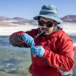 Tesista de Talackutur UCN fortalece investigación hidrogeoquímica de salares altoandinos durante pasantía científica en Italia